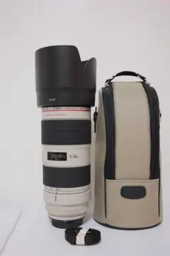 Item thumbnail for item 238efff6-ecc7-430f-a043-7b22ede2fe8c