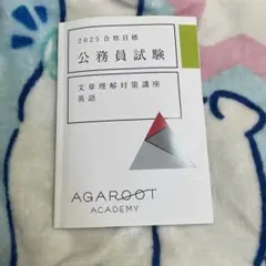 アガルート 2025 公務員 文章理解対策講座 英語