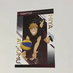 ハイキュー!! アニメイトフェア 特典 疑似ユース合宿 ポストカード