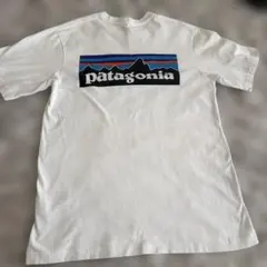 パタゴニアpatagoniaResponsibili-Tee XSサイズTシャツ