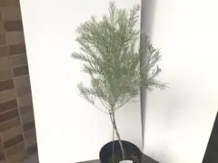 ◎MON◎様 リクエスト 2点 まとめ商品