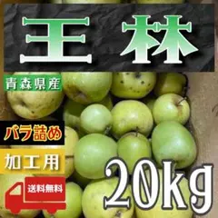 青森県産 ＂ 王林 ＂ りんご 加工用 20kg 産地直送 リンゴ 林檎のサムネイル