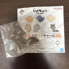 ハイキュー！！　一番くじ　最強の挑戦者　G賞　角名倫太郎