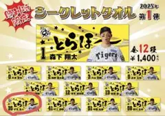 勝利時限定シークレット選手タオル とらほータオル 才木浩人