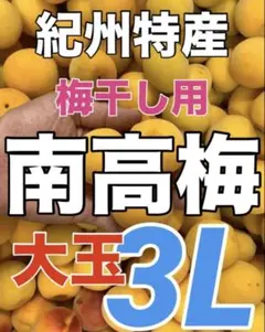 1825【秀品】特大4L2kg 梅干し用完熟南高梅 キルトパッチ梅店 - メルカリ