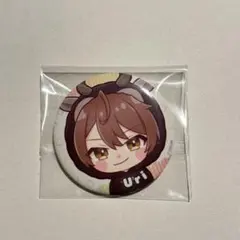 カラフルピーチ からぴち うり 缶バッジ 東武動物公園 後期