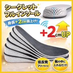 【2cm UP】 シークレットインソール 中敷き 身長アップ レディース メンズ