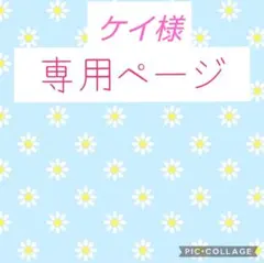 ケイ様 リクエスト 2点 まとめ商品