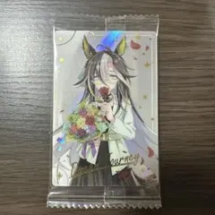 ウマ娘 ウエハース ドリームジャーニー