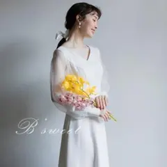 B’sweetロングスリーブシアーＶネックスレンダードレス　パッドなし
