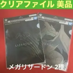 2種類組 ポケモン メガシンカ 一番くじ H賞 クリアファイル【ステッカー無】