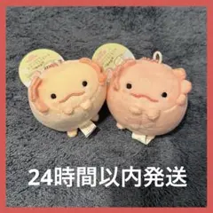 むぎゅぬい ころころらいふぷち うーぱーるーぱー2個セット