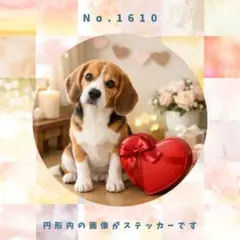 Item thumbnail for item 168cb4bd-db5d-49b0-b9fa-362b65066b8f