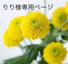 りり様　専用ページ