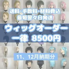 ウィッグオーダー 8500円