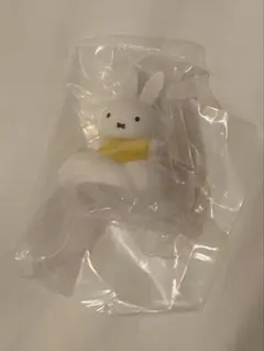 ミッフィー point at