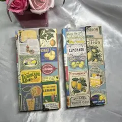 Item thumbnail for item b2a41ebb-ec75-41b2-ab80-335293994c3e