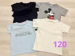 半袖Tシャツ4点セット