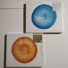 空中　ベスト・オブ・フィッシュマンズ　LP　レコード　新品未使用 空中 ベスト・オブ・フィッシュマンズ 【生産限定盤】(カラー