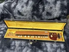 2026年最新】琴伝流大正琴の人気アイテム - メルカリ