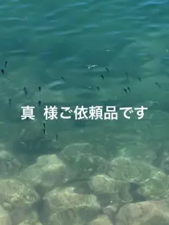 Item thumbnail for item c59cc532-39d0-4b40-8135-3b1b7fa26622