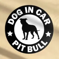 Item thumbnail for item cbae2505-f4d9-41a5-9d10-eedd1a037661