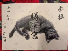 Item thumbnail for item 9a53a1f9-f990-434e-83dc-ecddf27f81cd