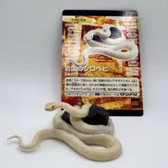 Item thumbnail for item 2360b871-2545-4c66-a79a-8005753fb223