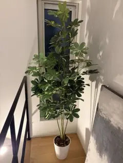 光触媒　人工観葉植物　ウォールグリーン　フェイクグリーン　イエローカポック100 光触媒 人工観葉植物 ウォールグリーン フェイクグリーン イエロー