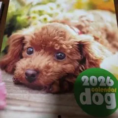 Item thumbnail for item d1e401e1-12fa-4836-8eae-28626591c85a