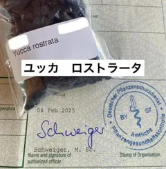 PARSON'S様 リクエスト 3点 まとめ商品