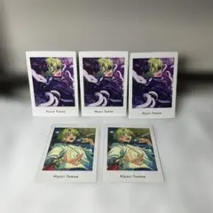 巴日和　ぱしゃっつ　5枚セット