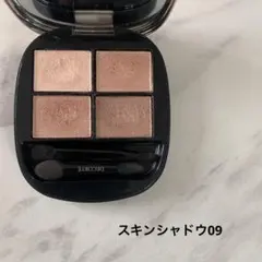 コスメデコルテ　スキンシャドウ　デザイニングパレット09 アイシャドウ
