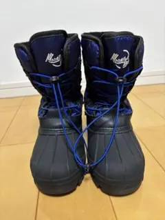 Item thumbnail for item 7305b373-8369-4385-8399-94ecf954dac4