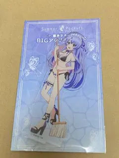 2026年最新】summer pockets アクリルスタンドの人気アイテム - メルカリ