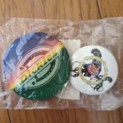 【新品未開封】Dickies 缶バッジ　2個セット