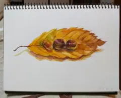 栗とどんぐり、落ち葉の水彩画　ハンドメイド　絵画
