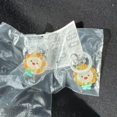 Bira ビラ JOCHUM めじるしアクセサリー ジェオチャム