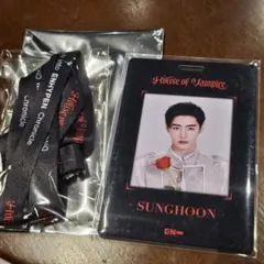 ENHYPEN ミュージアム　アドミッションパス　ソンフン