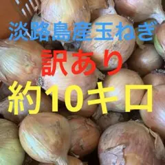 淡路島産玉ねぎ　訳あり　約10キロのサムネイル