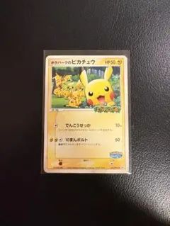 2026年最新】ポケパークのピカチュウの人気アイテム - メルカリ