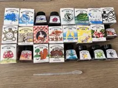 WINSOR & NEWTON ドローイングインク24色セット