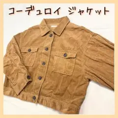 コーデュロイ ジャケットCOLZA Mサイズ ブラウン