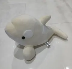 2025年最新】名古屋港水族館 シャチくじの人気アイテム - メルカリ