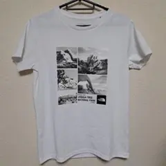 THE NORTH FACE Joshua Tree Tシャツ 白 Mのサムネイル