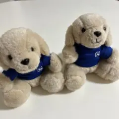 Sheraton 犬のぬいぐるみ 2体セット