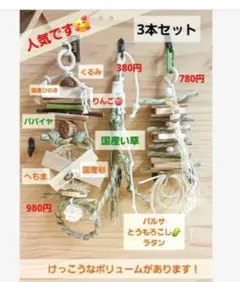 Item thumbnail for item 8e7393b1-27ef-452a-831e-46e4dbccf37f