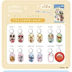 ディズニー タグキーホルダー セリア ベイマックス 2.0