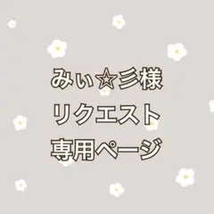 みぃ☆彡様 リクエスト 2点 まとめ商品