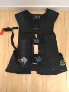 Item thumbnail for item c2fe6fc9-d0dd-4b7d-85ee-24e143112f00